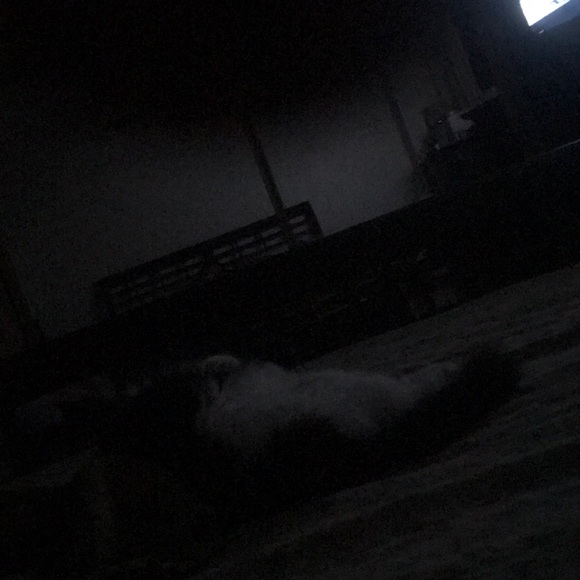 Meet your Posher, Murial - Picture 1 of 1